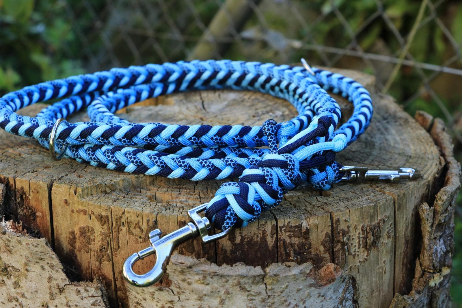 Hundeleine Benos Happiness, Blausee